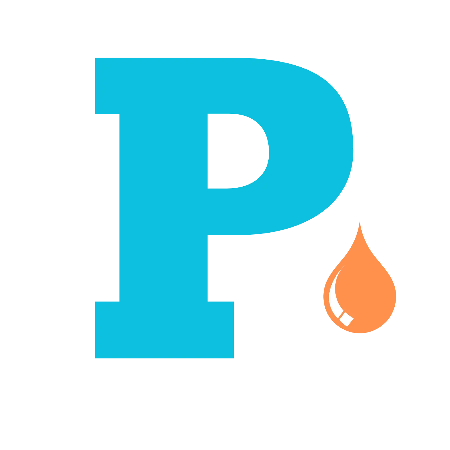 PADDY CLEAN SERVICE FRANCE
